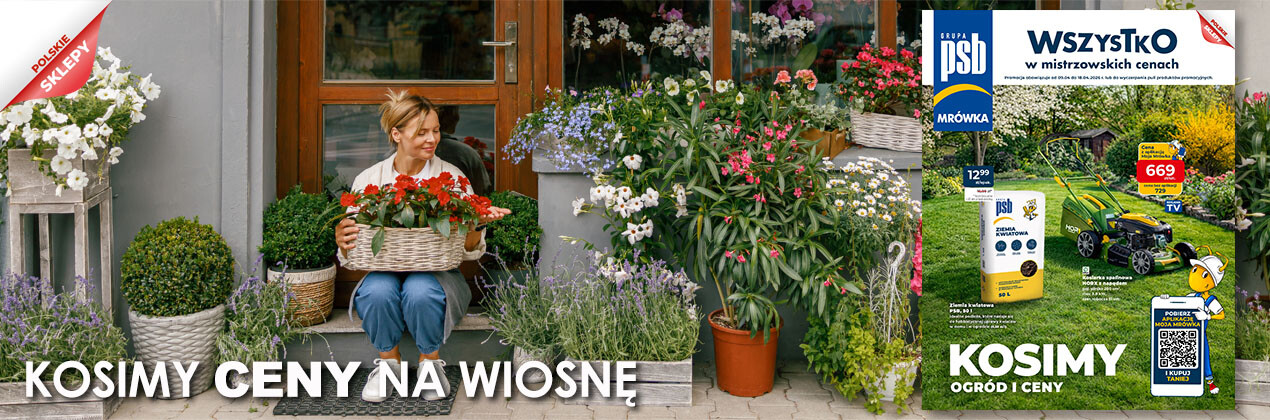 zdjęcie na stronie głównej